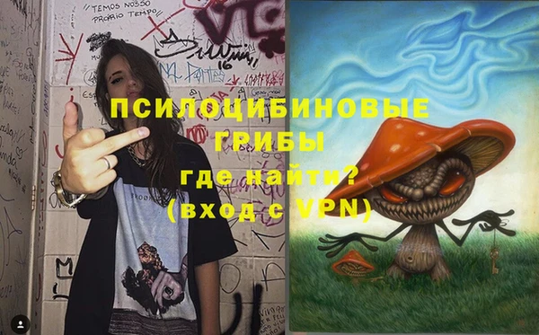 гашик Куйбышев